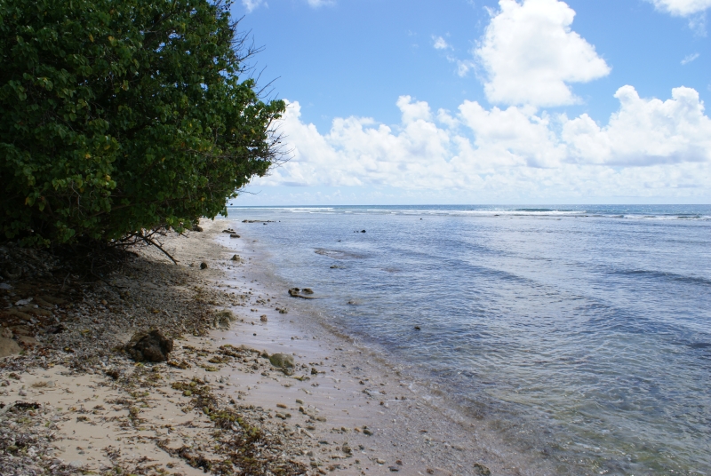 Guadeloupe-04
