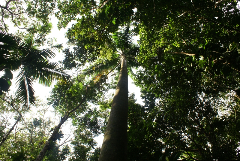 Guadeloupe-11