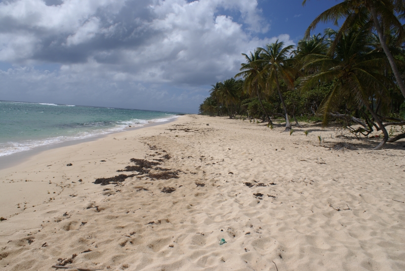 Guadeloupe-18