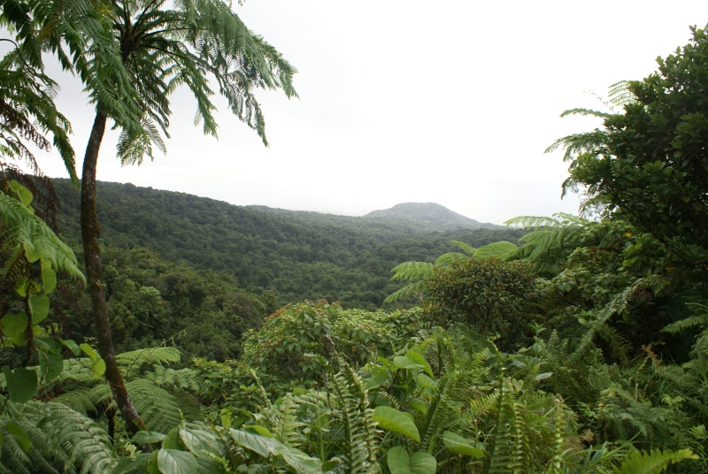 Guadeloupe-21