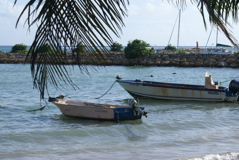 Guadeloupe-22