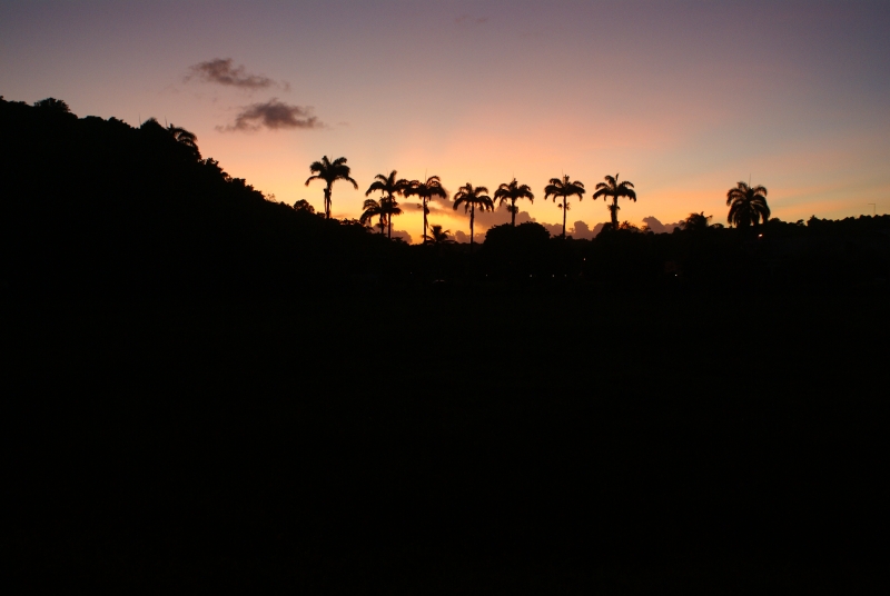 Guadeloupe-25