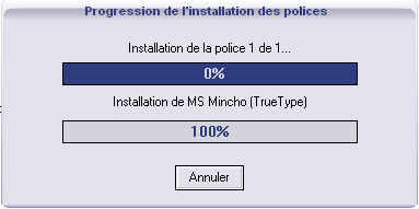 Installation de la police