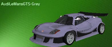 Audi Le Mans