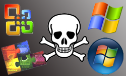 Microsoft pirate